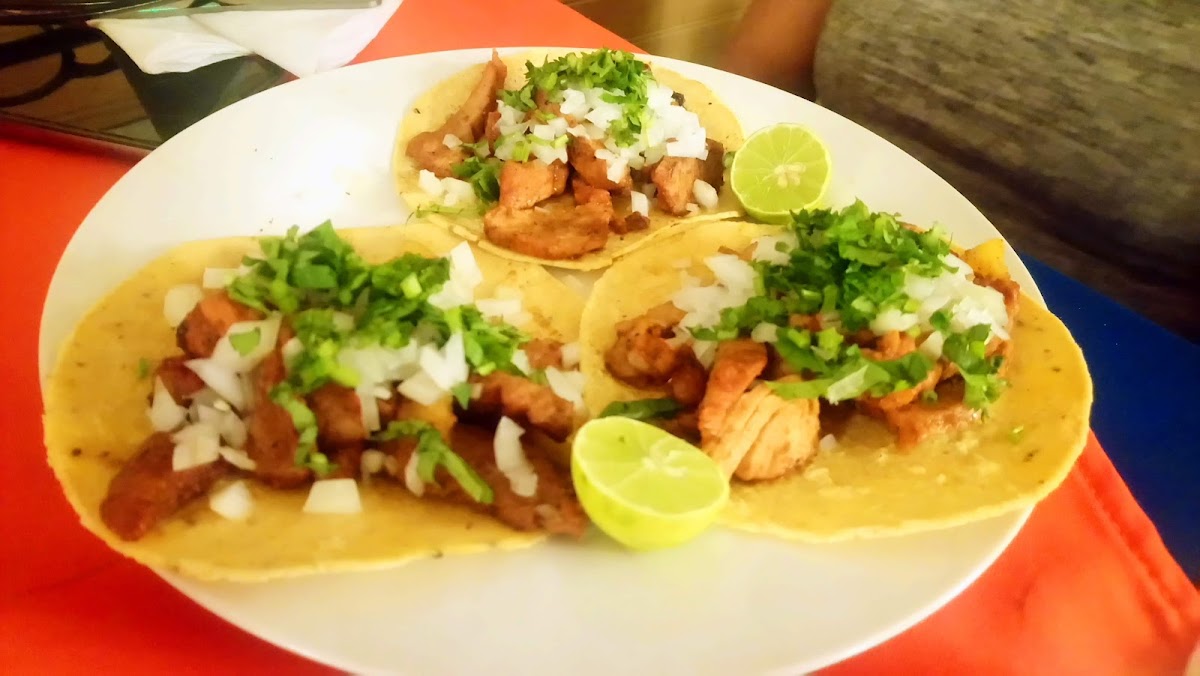 Plaza Garibaldi Photos 2